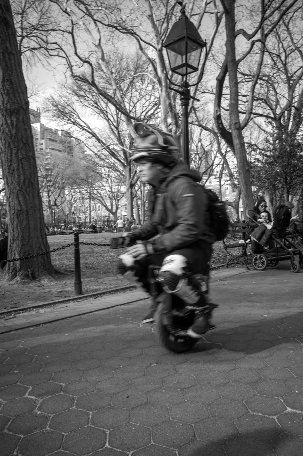 A cyclist passes close to the camera on a tree-lined park path.