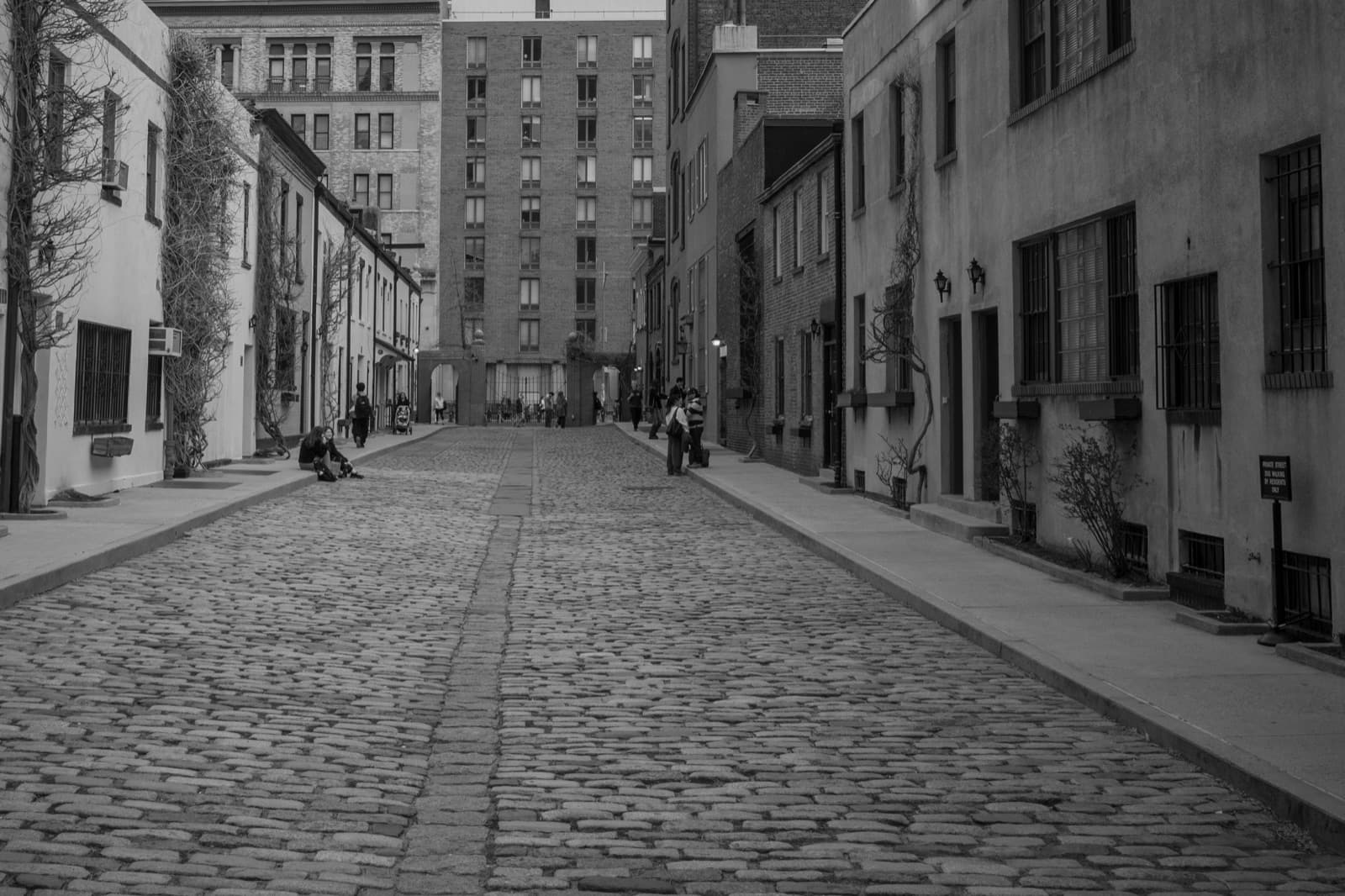 An empty cobblestone street runs between old masonry buildings in New York.