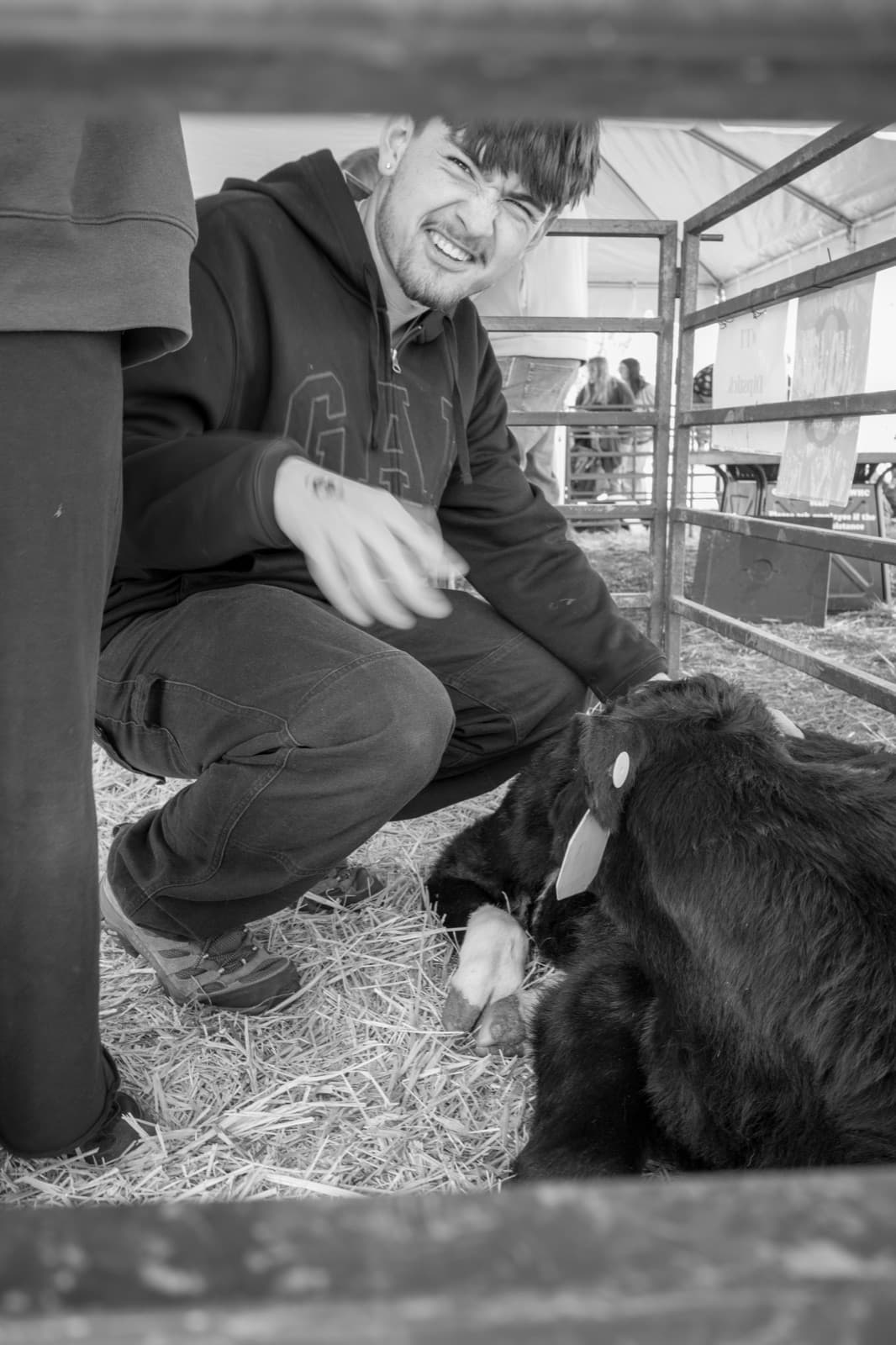 A smiling man kneels beside a black goat inside a sunlit barn.
