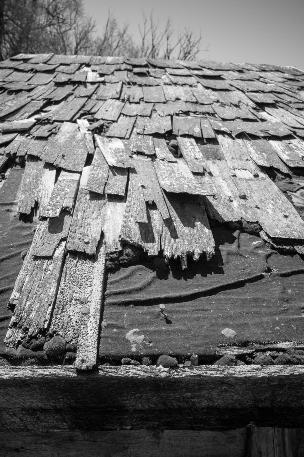 Rows of weathered wooden shingles form an uneven roof in black and white.