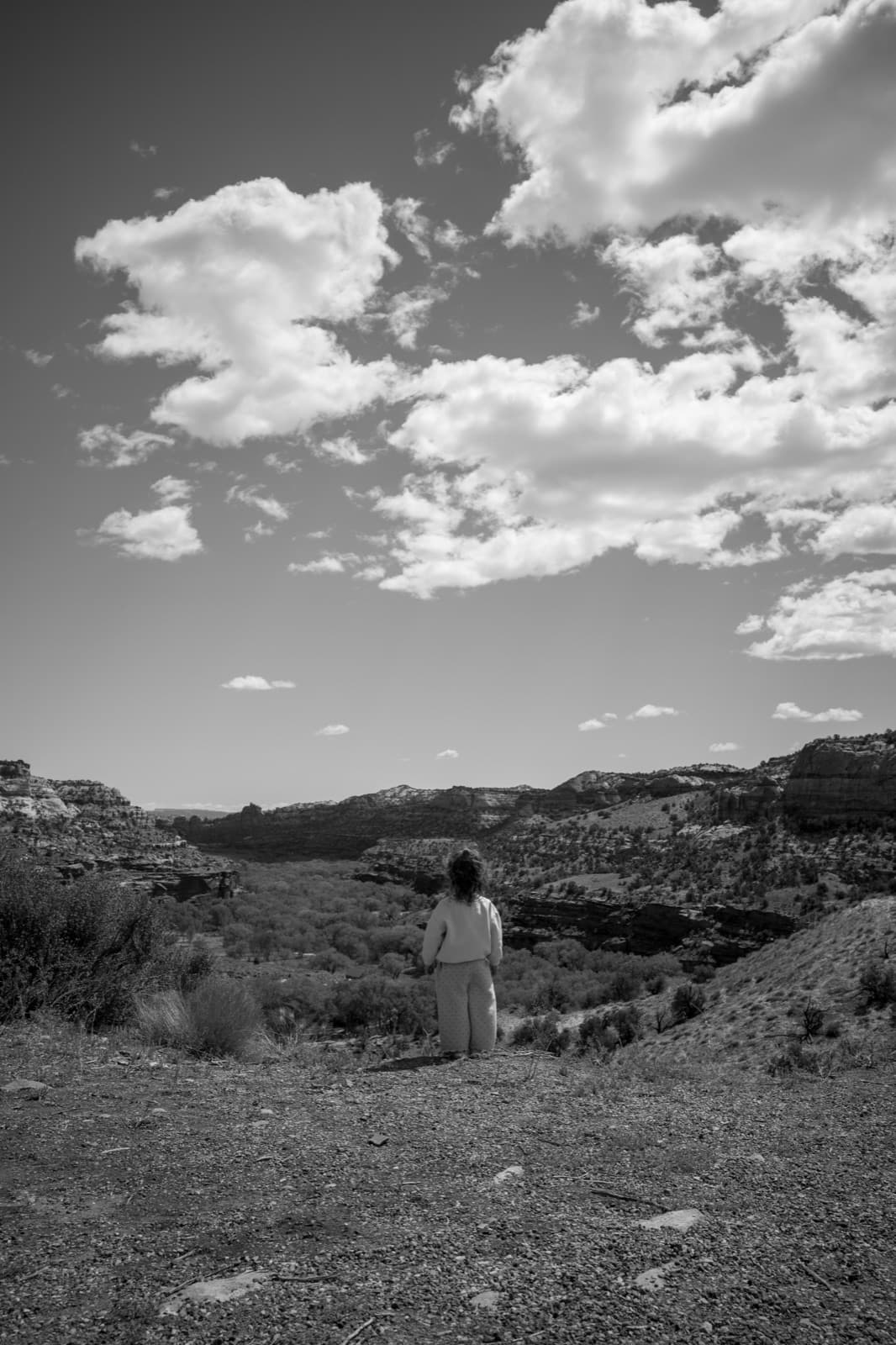 A small child faces a wide desert basin beneath sculpted clouds.