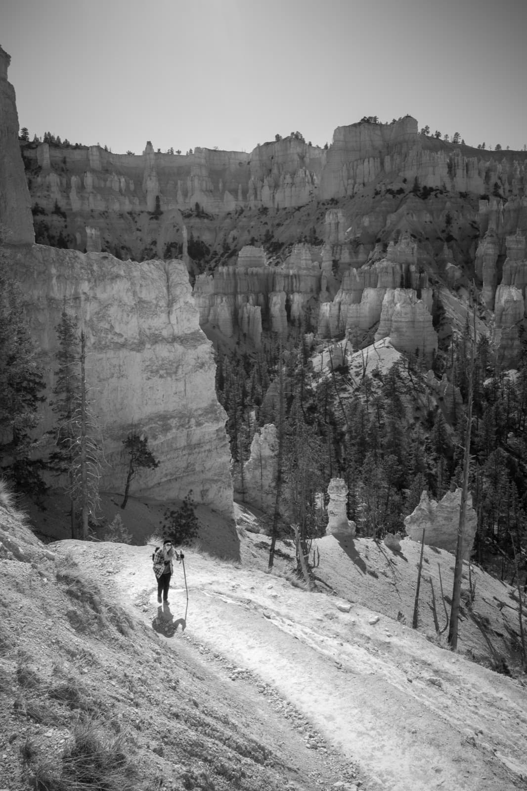 A lone hiker climbs a pale switchback beneath layered canyon walls.