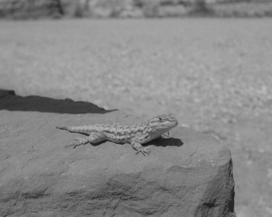 Black-and-white documentary photograph R0000458